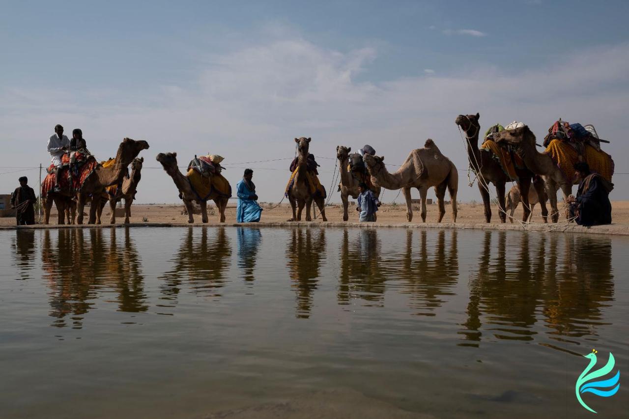 Hotel Kavi Palace Jaisalmer Dış mekan fotoğraf