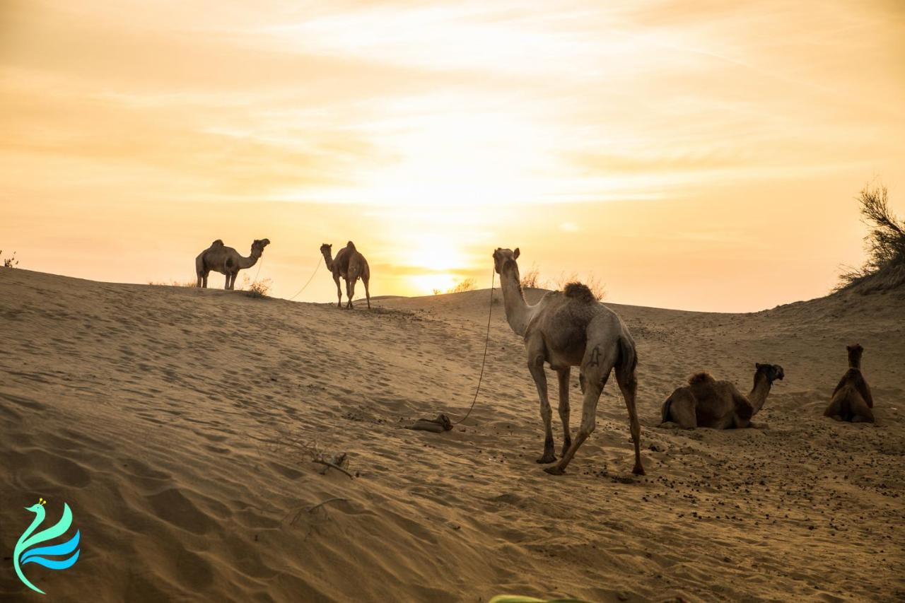 Hotel Kavi Palace Jaisalmer Dış mekan fotoğraf